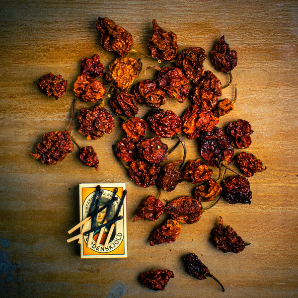 Carolina Reaper - hele og tørrede