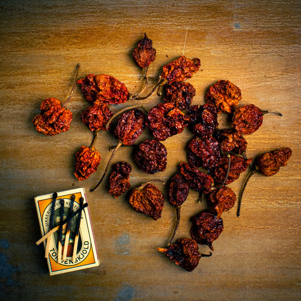 Trinidad Scorpion - hele og tørrede